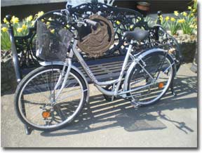 Travel / Consierge Services